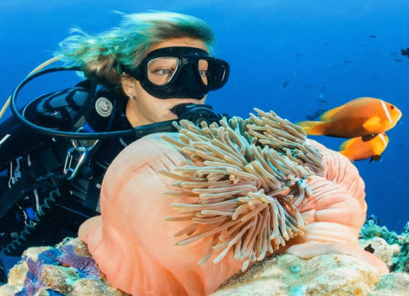 5 Scuba Diving Tips To Help You Get The Most Out Of Your Expeditions There are many different ways to enjoy scuba diving. Find out what makes clear water so special!