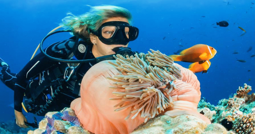 5 Scuba Diving Tips To Help You Get The Most Out Of Your Expeditions There are many different ways to enjoy scuba diving. Find out what makes clear water so special!