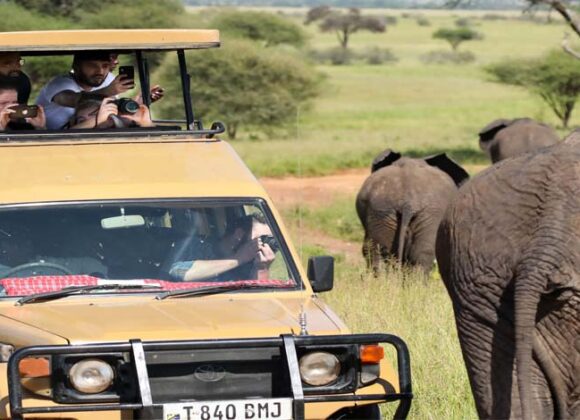 How To Plan Your Trip To Africa Planning a trip to Africa? We've got everything you need to know about where to go, what to do, and how to have an amazing time.