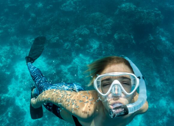 6 Great Snorkel Gear Options For Beginners When snorkeling, you need a gear that is lightweight, waterproof and well-made. These are our picks for the best snorkel gear for beginners.